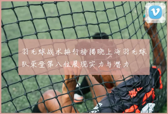 羽毛球战术排行榜揭晓上海羽毛球队荣登第八位展现实力与潜力